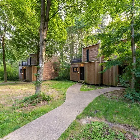 Near Forest Retreat