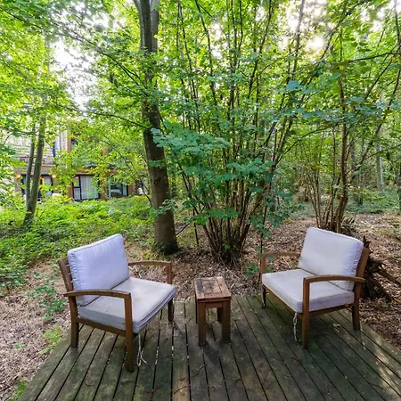Near Forest Retreat