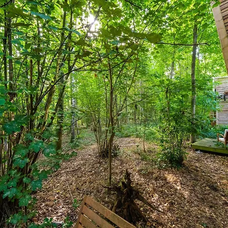 Near Forest Retreat *